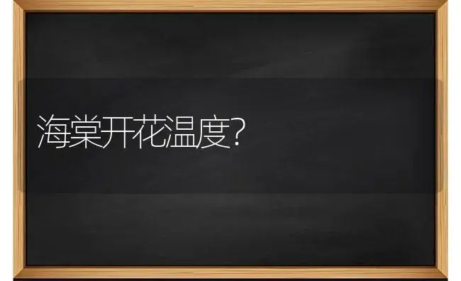 三色堇叶片长得很大怎么办？ | 绿植常识