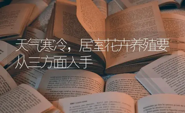 天气寒冷，居室花卉养殖要从三方面入手 | 特种种植