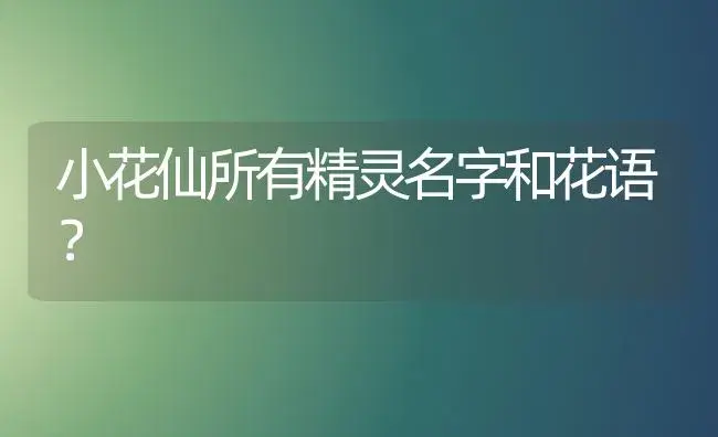 小花仙所有精灵名字和花语？ | 绿植常识