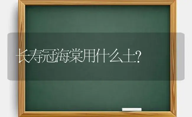 长寿冠海棠用什么土？ | 多肉养殖