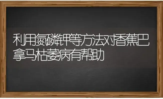 利用氮磷钾等方法对香蕉巴拿马枯萎病有帮助 | 果木种植