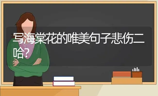 写海棠花的唯美句子悲伤二哈？ | 绿植常识