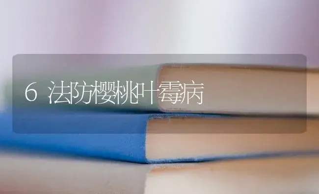 一颗荔枝等于一辆奔驰，55万一颗的天价一举打破记录； | 果木种植