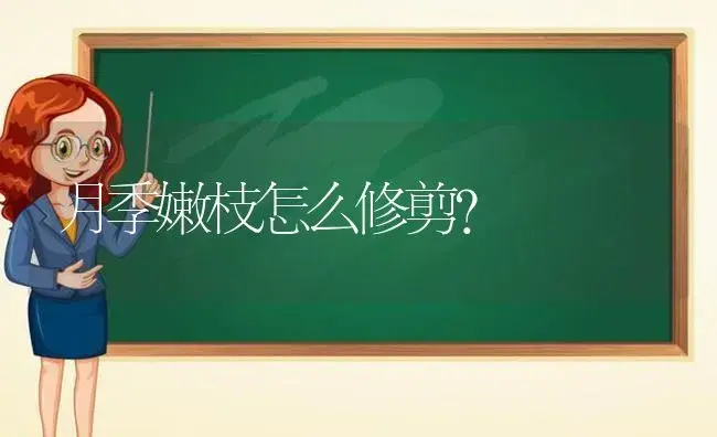 月季嫩枝怎么修剪？ | 绿植常识