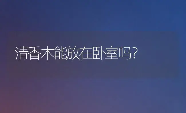 清香木能放在卧室吗？ | 家庭养花