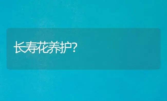 长寿花养护？ | 多肉养殖