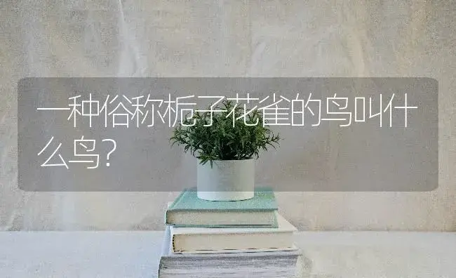 一种俗称栀子花雀的鸟叫什么鸟？ | 绿植常识