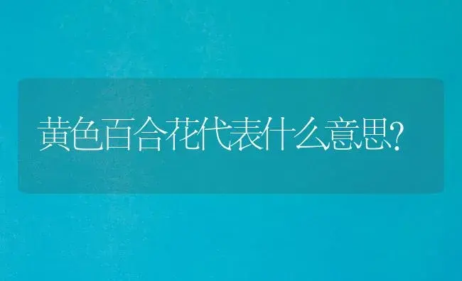 黄色百合花代表什么意思？ | 绿植常识