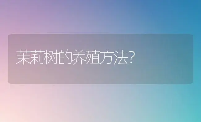 茉莉树的养殖方法？ | 绿植常识