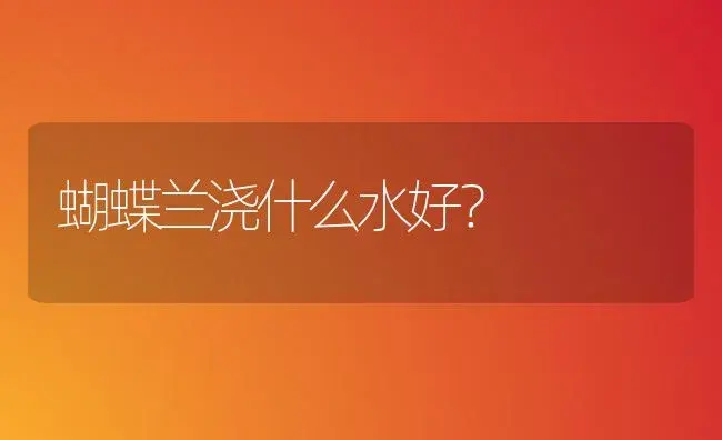 蝴蝶兰浇什么水好？ | 绿植常识