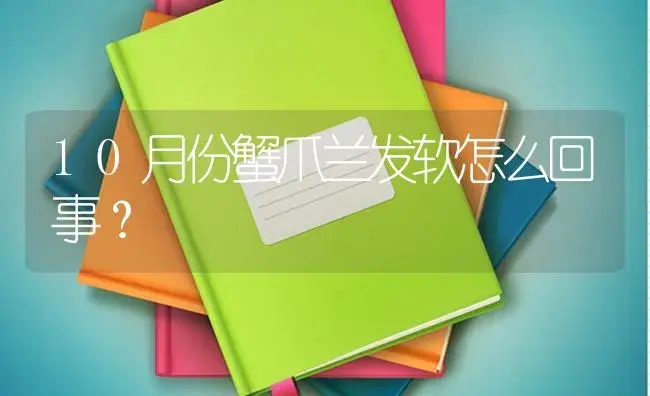 10月份蟹爪兰发软怎么回事？ | 多肉养殖