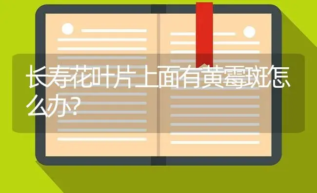 长寿花叶片上面有黄霉斑怎么办？ | 多肉养殖