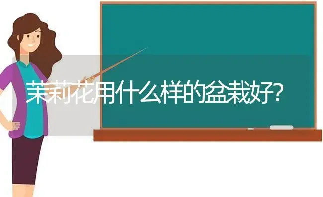 圆锥绣球品种区别？ | 绿植常识