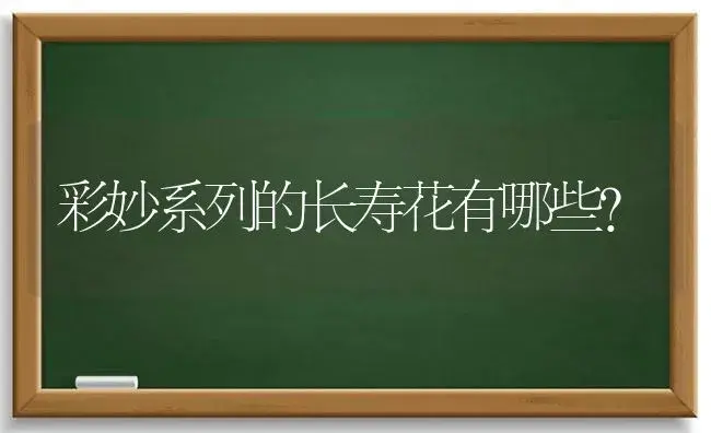 彩妙系列的长寿花有哪些？ | 多肉养殖