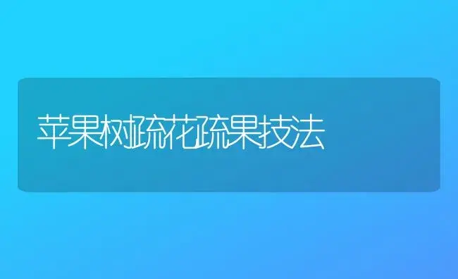 苹果树疏花疏果技法 | 果木种植