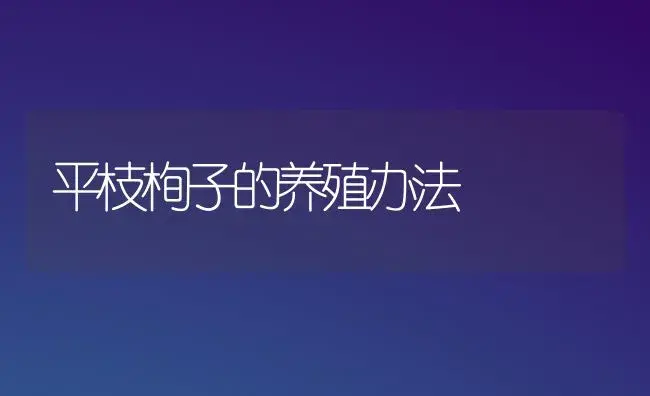 平枝栒子的养殖办法 | 家庭养花