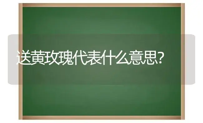 送黄玫瑰代表什么意思？ | 绿植常识