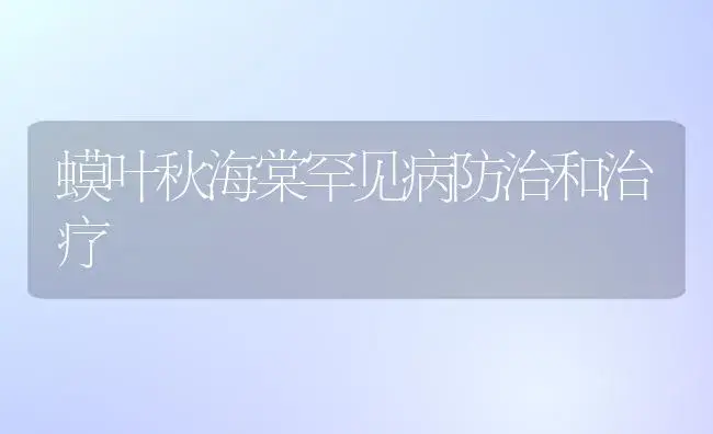 蟆叶秋海棠罕见病防治和治疗 | 家庭养花