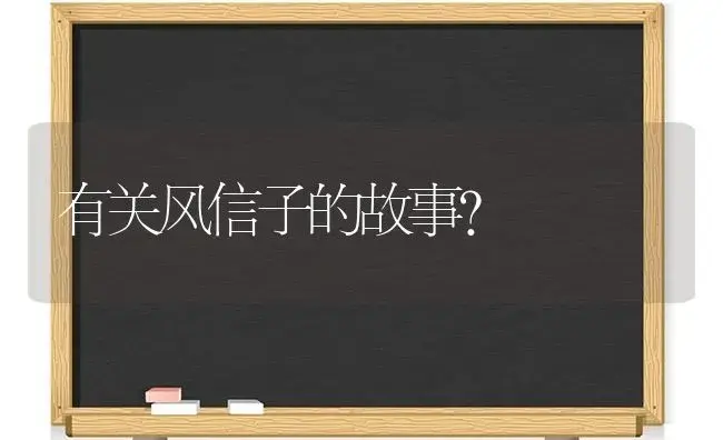 有关风信子的故事？ | 绿植常识