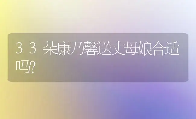 33朵康乃馨送丈母娘合适吗？ | 绿植常识