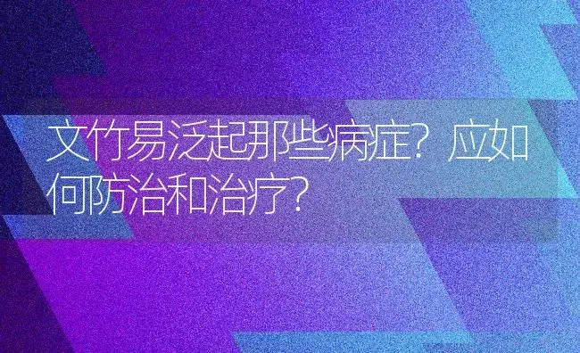 文竹易泛起那些病症？应如何防治和治疗？ | 家庭养花