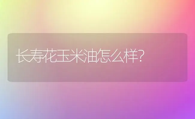 长寿花玉米油怎么样？ | 多肉养殖