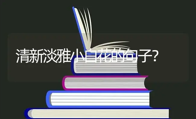 清新淡雅小白花的句子？ | 绿植常识