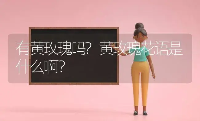 有黄玫瑰吗?黄玫瑰花语是什么啊？ | 绿植常识