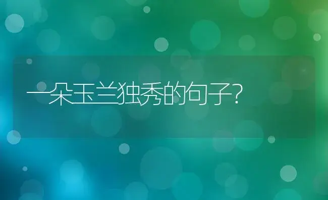 一朵玉兰独秀的句子？ | 绿植常识