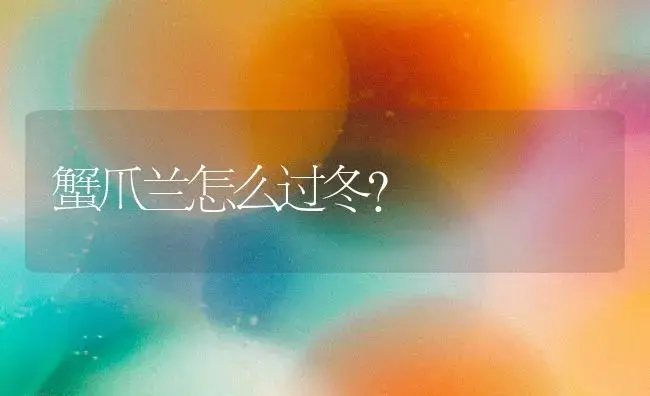 蟹爪兰怎么过冬？ | 多肉养殖