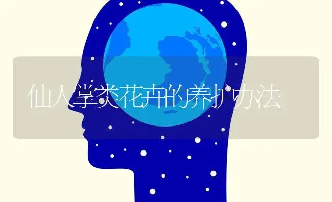 仙人掌类花卉的养护办法 | 特种种植