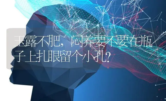 玉露不肥,闷养要不要在瓶子上扎眼留个小孔？ | 多肉养殖