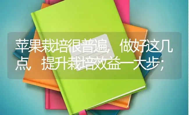 苹果栽培很普遍,做好这几点,提升栽培效益一大步； | 果木种植