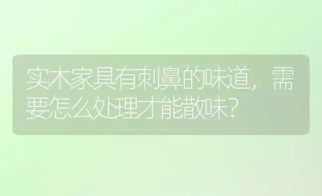 实木家具有刺鼻的味道，需要怎么处理才能散味？ | 绿植常识