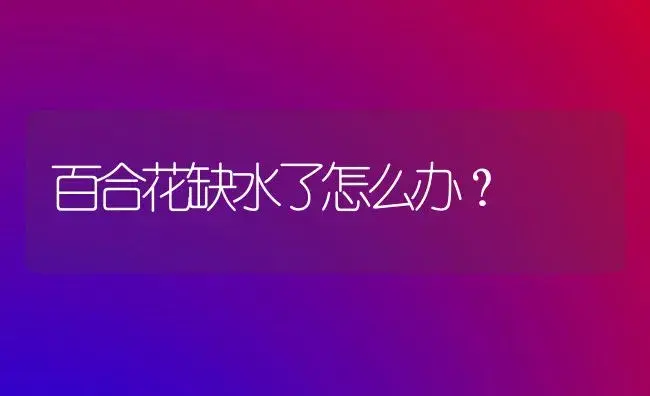 百合花缺水了怎么办？ | 绿植常识