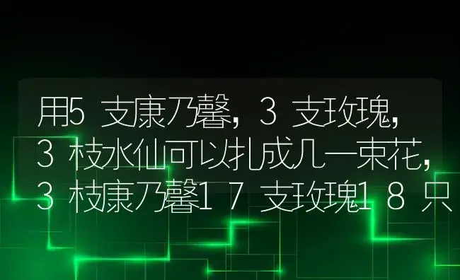 用5支康乃馨，3支玫瑰，3枝水仙可以扎成几一束花，3枝康乃馨17支玫瑰18只水仙，最多可以扎成几束？ | 绿植常识