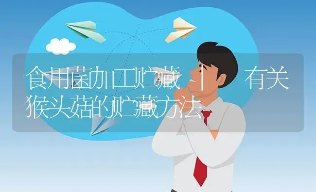 有关猴头菇的贮藏方法 | 菌菇种植