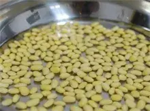 黄豆芽怎么发？黄豆芽的制作方法