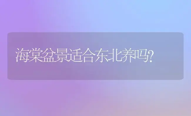 海棠盆景适合东北养吗？ | 绿植常识