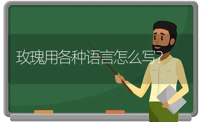 玫瑰用各种语言怎么写？ | 绿植常识