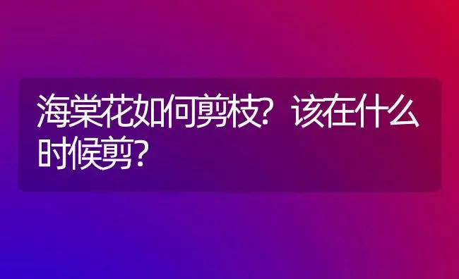 海棠花如何剪枝?该在什么时候剪？ | 绿植常识