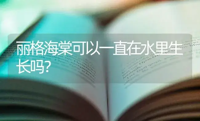 丽格海棠可以一直在水里生长吗？ | 绿植常识