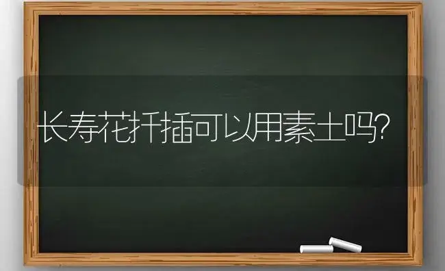 长寿花扦插可以用素土吗？ | 多肉养殖