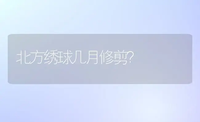 北方绣球几月修剪？ | 绿植常识