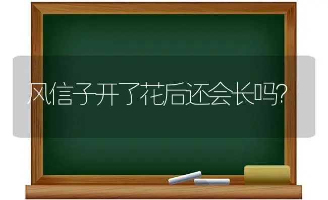 风信子开了花后还会长吗？ | 绿植常识