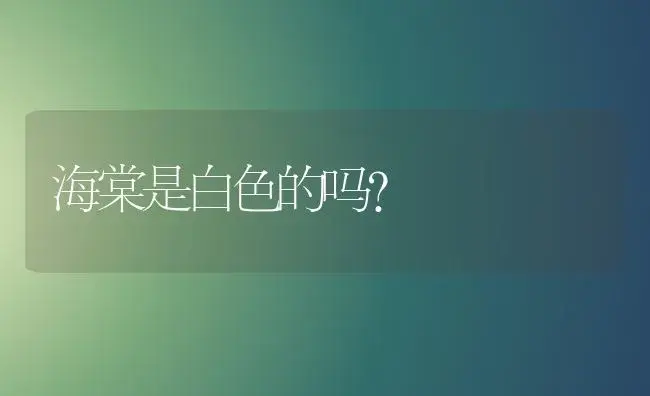 海棠是白色的吗？ | 绿植常识