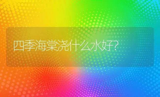 四季海棠浇什么水好？ | 绿植常识