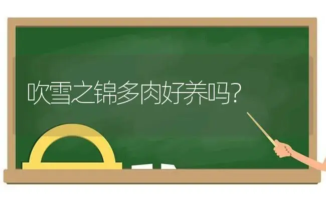 吹雪之锦多肉好养吗？ | 多肉养殖