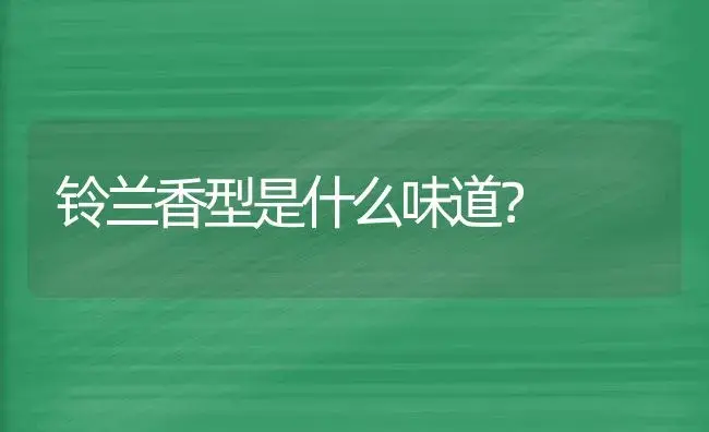 铃兰香型是什么味道？ | 绿植常识