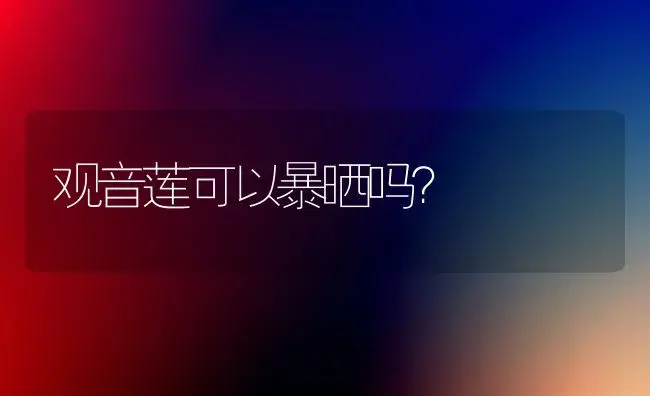 观音莲可以暴晒吗？ | 多肉养殖